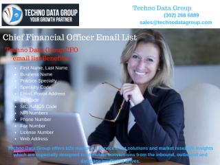 Chief Financial Officer Email & Mailing List.pdf