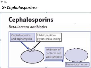 4th lec. Cephalosporins.ppt
