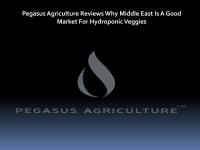 Pegasus Agriculture Reviews Why Middle East Is A Good Market For Hydroponic Veggies.pdf