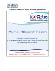 2017 Market Research Report on Global Beef Industry.pdf