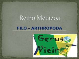 Reino Metazoa- Artropoda.ppt
